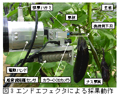 図3エンドエフェクタによる採果動作