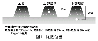 図1 施肥位置