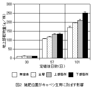 図2 施肥位置がキャベツ生育に及ぼす影響