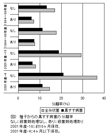 図2 種子からの黒すす病菌の分離率