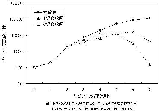 図1.トマトツメナシコハリダニによるトマトサビダニの密度抑制効果
