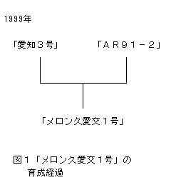 図1「メロン久愛交1号」の育成経過