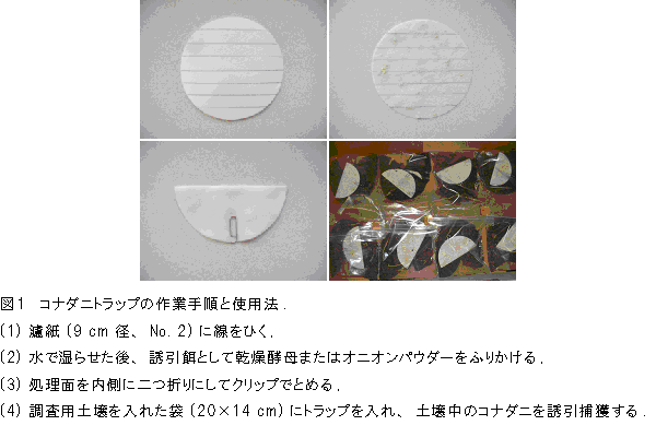 図1 コナダニトラップの作成手順と使用方法.