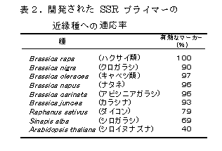 表2.開発されたSSRプライマーの近縁種への適応率