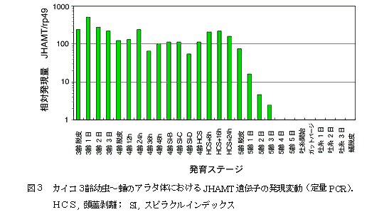 図3 カイコ3齢幼虫?蛹のアラタ体におけるJHAMT遺伝子の発現変動(定量PCR)