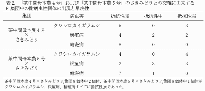 表2. KM8およびKM62のさきみどりとの交雑に由来するF1集団中の耐病虫性個体の出現と早晩性