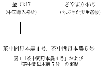 図1 KM8およびKM62の来歴