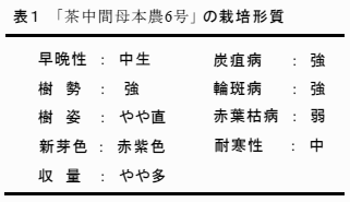 表1 F95181の栽培形質特性