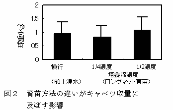 図2 育苗方法の違いがキャベツ収量に及ぼす影響