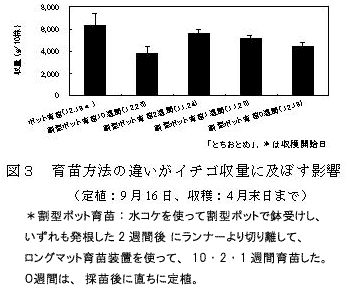 図3 育苗方法の違いがイチゴ収量に及ぼす影響