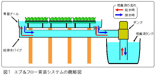 図1 エブ&フロー育苗システムの概略図