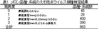 表1 メロン品種・系統のえそ斑点ウイルス接種検定結果