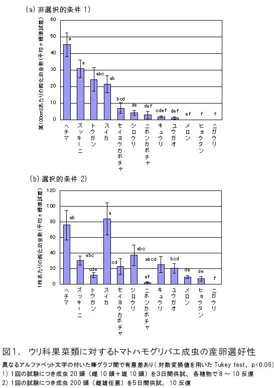 図1.ウリ科果菜類に対するトマトハモグリバエ成虫の産卵選好性