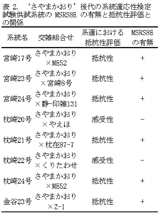 表2. 'さやまかおり'後代の系統適応性検定試験供試系統のMSRS8Eの有無と抵抗性評価との関係