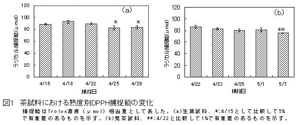 図1 茶試料における熟度別DPPH補足能の変化