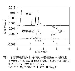 図1 番茶浸出液のキャピラリー電気泳動分析結果