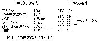 図1 PCR反応液組成及び条件