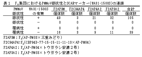 表1 F2集団におけるPMMoV抵抗性とSCARマーカー(WA31-1500S)の連鎖