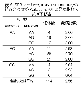 表2 SSR マーカー(BRMS-173,BRMS-096)の 組み合わせがWakayama-01 の発病指数に及ぼす影響