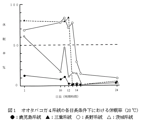 図1 オオタバコガ4系統の各日長条件下における休眠率