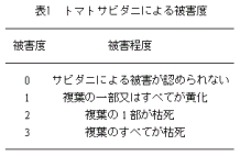 表1.トマトサビダニによる被害度