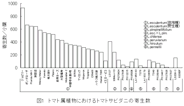 図1.トマト属植物におけるトマトサビダニの寄生数