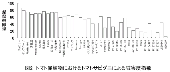 図2.トマト属植物におけるトマトサビダニによる被害度指数