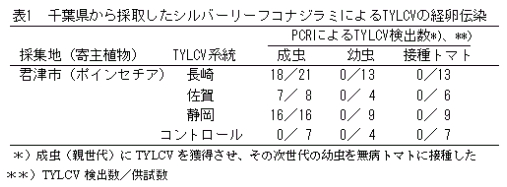 表1.千葉県から採取したシルバーリーフコナジラミによるTYLCVの経卵伝染