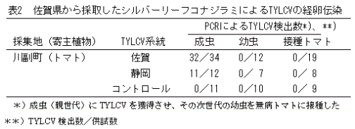 表2.佐賀県から採取したシルバーリーフコナジラミによるTYLCVの経卵伝染