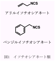 図1.イソチオシアネート類