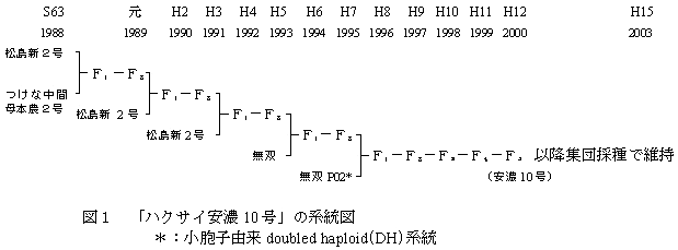 図1 「ハクサイ安濃10 号」の系統図