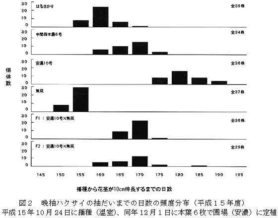 図2 晩抽ハクサイの抽だいまでの日数の頻度分布