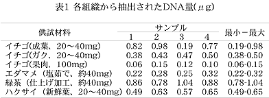 表1 各組織から抽出されたDNA 量