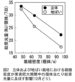 図2 立体および地ばい栽培における 栽植密度が果実肥大期間中の個体当た り総受光量に及ぼす影響(12 月どり).