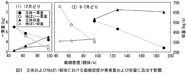 図3 立体および地ばい栽培における栽植密度が果実重および収量に及ぼす影響.