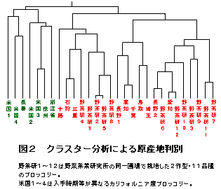 図2 クラスター分析による原産地判別