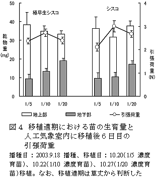 図4 移植適期における苗の生育量と 人工気象室内に移植後6日目の 引張荷重