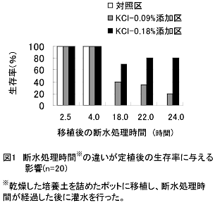 図1 断水処理時間の違いが定植後の生存率に与える 影響