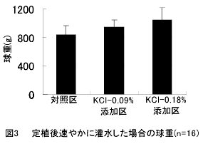 図3  定植後速やかに灌水した場合の球重