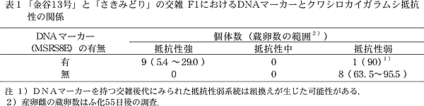 表1「金谷13 号」と「さきみどり」の交雑 F1 におけるDNAマーカーとクワシロカイガラムシ抵抗性の関係