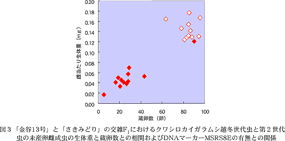 図3「金谷13 号」と「さきみどり」の交雑F1におけるクワシロカイガラムシ越冬世代虫と第2世代虫の未産卵雌 成虫の生体重と蔵卵数との相関およびDNAマーカーMSRS8Eの有無との関係