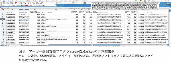 図3 マーカー開発支援プログラムread2Marker の計算結果例