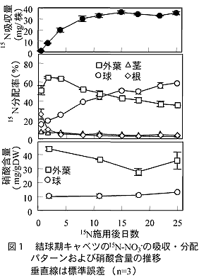 図1 結球期キャベツの15N-NO3 -の吸収・分配 パターンおよび硝酸含量の推移
