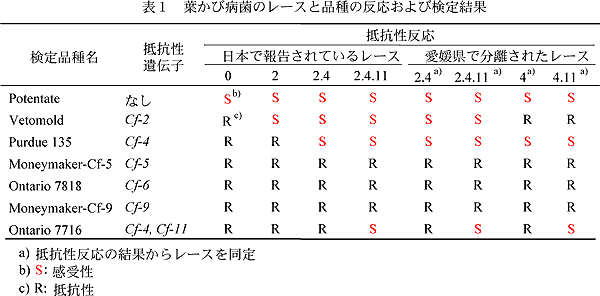 表1 葉かび病菌のレースと品種の反応および検定結果