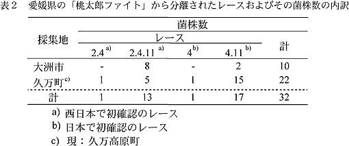 表2 愛媛県の「桃太郎ファイト」から分離されたレースおよびその菌株数の内訳