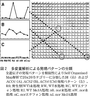 図2 多変量解析による発現パターンの分類