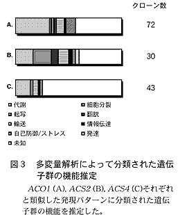 図3 多変量解析によって分類された遺伝子 群の機能推定