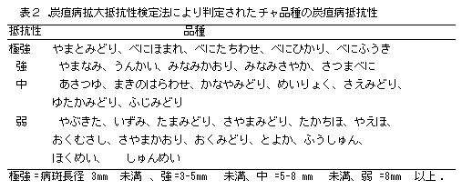 表2 .炭疸病拡大抵抗性検定法により判定されたチャ品種の炭疸病抵抗性抵抗