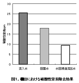 図1,棚田における硝酸性窒素除去効果