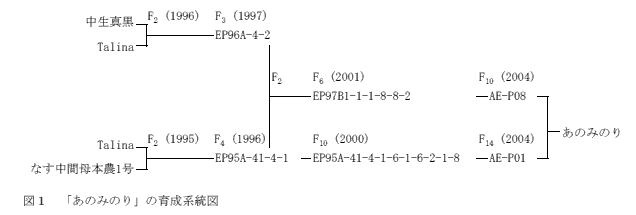 図1 「ナス安濃交4号」の育成系統図